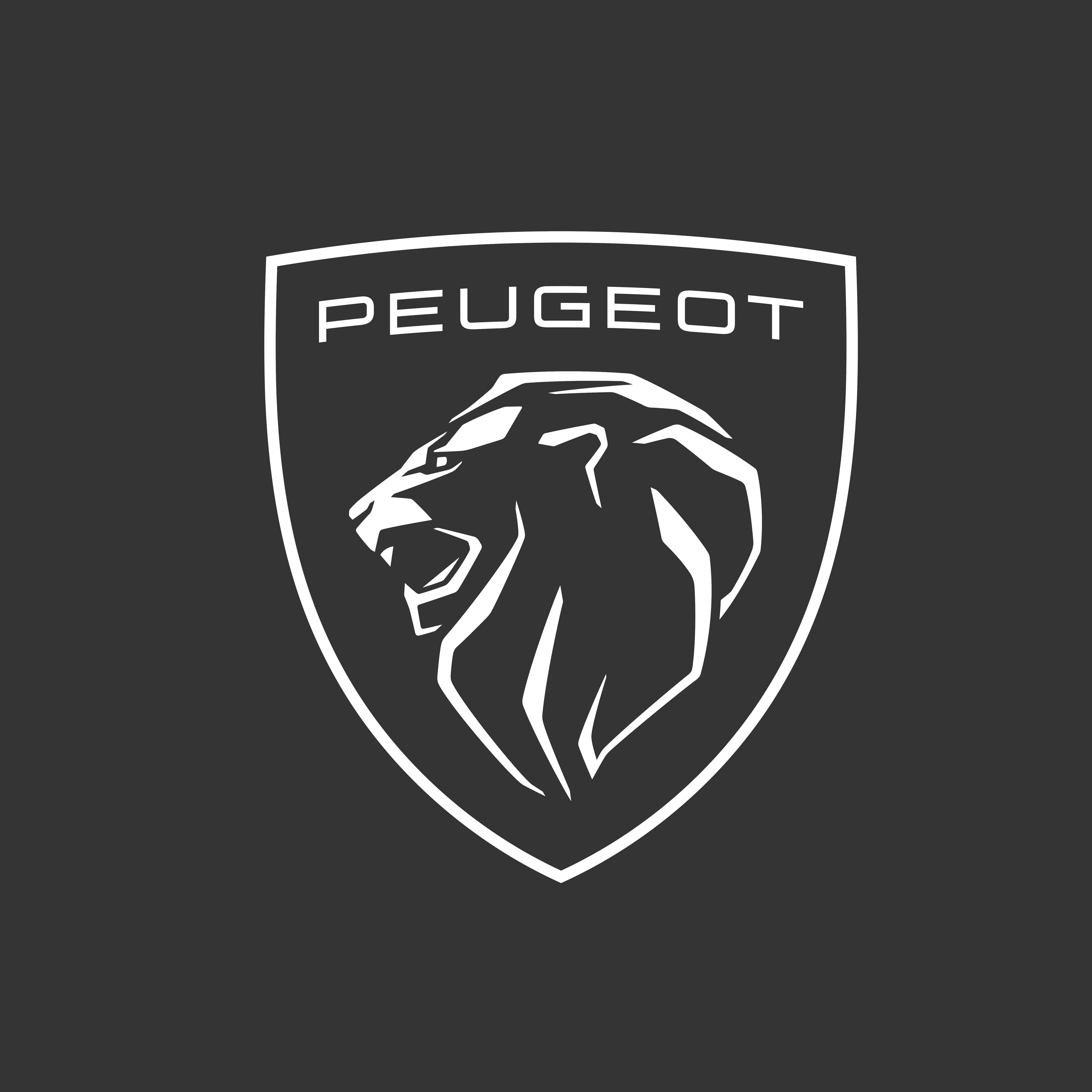 peugeot white 2.0